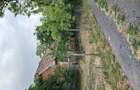 Casă cu Teren 2291 Mp în Ceanu Mare - 3