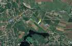 Teren intravilan | 5000 mp | Snagov