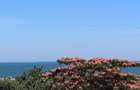 !! Apartament de inchiriat | vila langa plaja |3 - 5 locuri | 1 sau 2 camere | vedere la mare | Eforie Sud !! - 2