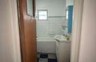 APARTAMENT 2 CAMERE COLENTINA - 17