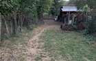 teren intravilan comuna izvoarele sat homoraciu prahova - 5