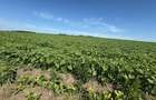 Teren intravilan, 758mp, 39m deschidere, platoul Beldiman! - 1