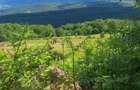 Teren Premium Intravilan ?uncuiu? (Pojorata) Panorama superba, padure - 6