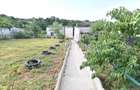 Doua case de vanzare in Carcea | 1.066 mp teren | 0% Comision - 19