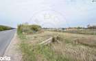 Teren Intravilan 1300 mp / Extravilan 3.700 mp/ DJ 196B Carei (DN 1F) - 1