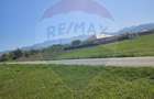 Teren intravilan de vânzare în Crăciunești – 1.780 mp - 4