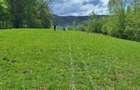 Vand teren extravilan 4.6 ha sau dezmembrez - 2