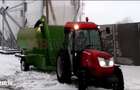 *Ferma moderna pentru export miei | 6 ha | Standarde europene | Aproap - 8