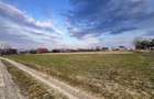 Teren Intravilan de Vanzare 25 Ari | Suceava/Tisauti I 130.000Euro - 3