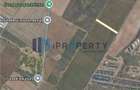 Dobroesti Teren 5.000 mp | Deschidere 20 ml | Urbanism de Informare - 1