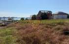 Teren 1.000 mp Utilitati | Vedere panoramica la Lac | Palazu Mare | In - 5