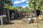 Casa de vanzare cu teren 2.893 mp Branisca, Hunedoara - 3