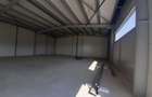 Hala noua 650mp zona Drumul Intre Tarlale - 4
