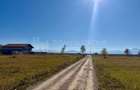 Teren intravilan, PUZ aprobat, 800 mp, Fish4Life - Harman, Brasov