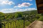 Casa de vanzare | Valea Budului | Oportunitate unica - 3