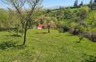 Teren deosebit - 1500 mp, Poiana Angelescu, Str. Livezii