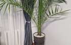 Apartament 2 camere, Cranga?i, 200 EUR - 3
