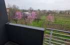 Apartament inchiriere 1 camera, bucataria mobilata, Lunca Cetatuii - 10