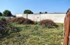 Teren in Suprafata de 941 mp, Deschidere 30 m, zona Excelenta Chercea - 4