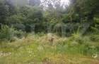 Teren intravilan, 2306 mp, zona Teis - 4