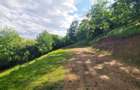 Teren panoramic | Breaza de Sus | 8655 mp | Potential dezvoltare turis - 8
