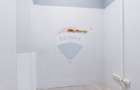 SPA?IU COMERCIAL | 238 MP | VAD COMERCIAL
