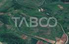 Oportunitate investitie Teren de vanzare 10000 mp zona Gusterita - 1