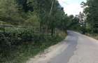 Teren de vinzare in Cheia(Olanesti) - 6