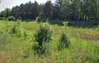 Teren 1415 mp Cocioc-Peris-Snagov - 5