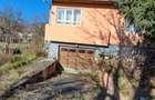 Valea Borcutului casa cu teren 9.000 mp - 6