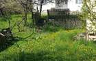 teren salina targu ocna intravilan extravilan proprietar - 5