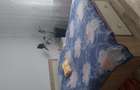 Apartament de vanzare 31000 euro - 3