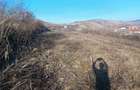 Teren de vanzare - 1700m2 Sard - 12