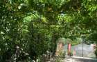casa vacanza Iepuresti(Giurgiu) - 2