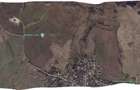 Vie Vanzare Podgoria Dealu-Mare, Boldesti-Scaeni, Prahova - 15,39 ha - 2