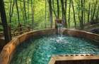 Se vinde Cabana premium in mijlocul naturii - 4