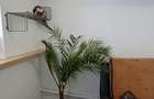 Apartament cu o camera, etajul 2, 26 mp, str. Dragos Voda