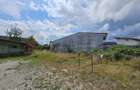 Teren | Hale | Casa| Cisnadie | Zona Centrala | 6.282 mp |VIDEO - 6