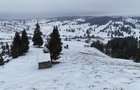 Teren extravilan de vanzare in Bucovina Breaza zona Paraul Negrei - 2
