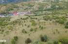 Teren 8.043 mp la DN73C Berevoesti 3/mp! Oportunitate rara - 1