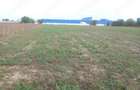 Teren de vanzare 5000 mp Ideal pentru Hala Industriala Depozit la 25 km de Bucuresti, zona verde
