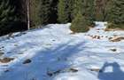 Teren de 300 mp, în Râu de Mori - 1