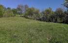Vand teren, 1510 mp, loc de casa in comuna Lesu, jud Bistrita Nasaud - 2