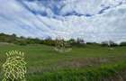 Teren 5000 mp-ideal investitie-Ghinda - 2