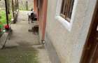Casa de vanzare Ungureni, Vagiulesti Gorj - 7