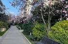 GRADINA ZOOLOGICA / PADUREA BANEASA / PENTHOUSE UNICAT / PARCARE 2 LOC - 11