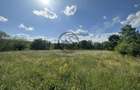Teren intravilan de vanzare | 11.000 mp | Ghirdoveni | Comision 0%