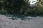 Otopeni-Str.Dr.Garii Balotesti-2.900mp-front 50ml-Ideal Investitie - 4
