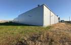 Cladire industriala; productie, logistica; 3026mp, Dumesti - 10