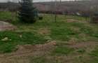Teren de 2800 mp, în Blaj - 3